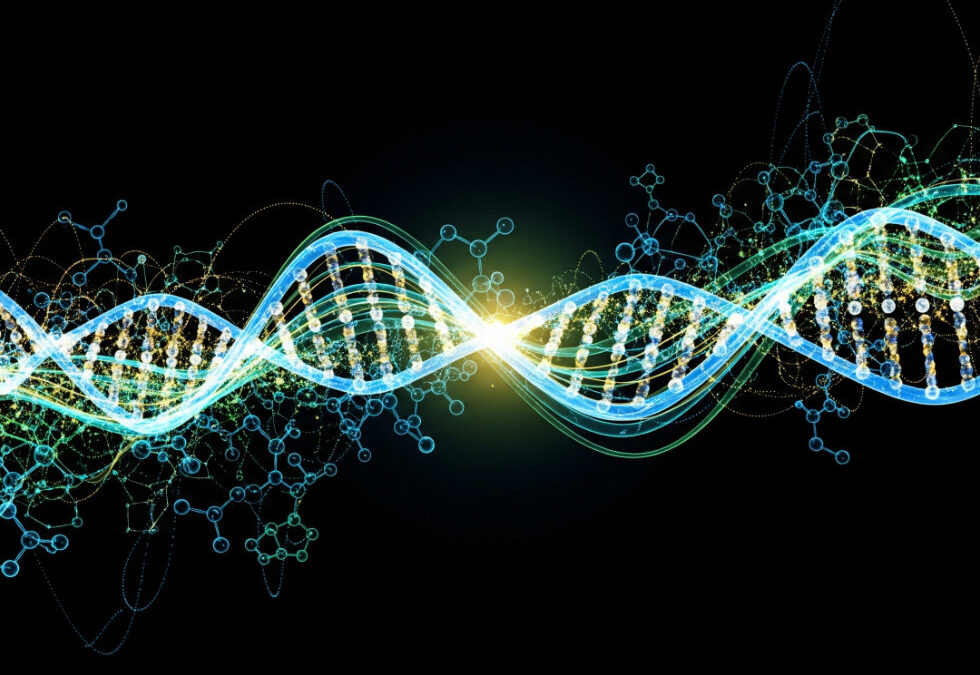 A Step into the Future: Boruta-Zachem Biochemia Transforms into InventionBio S.A.